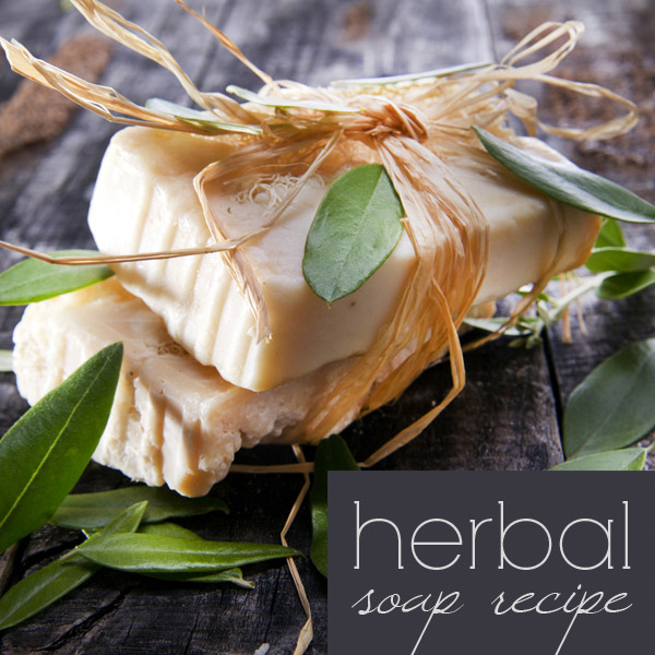 Herbal Provence soap: how to make cold process soap with herbs