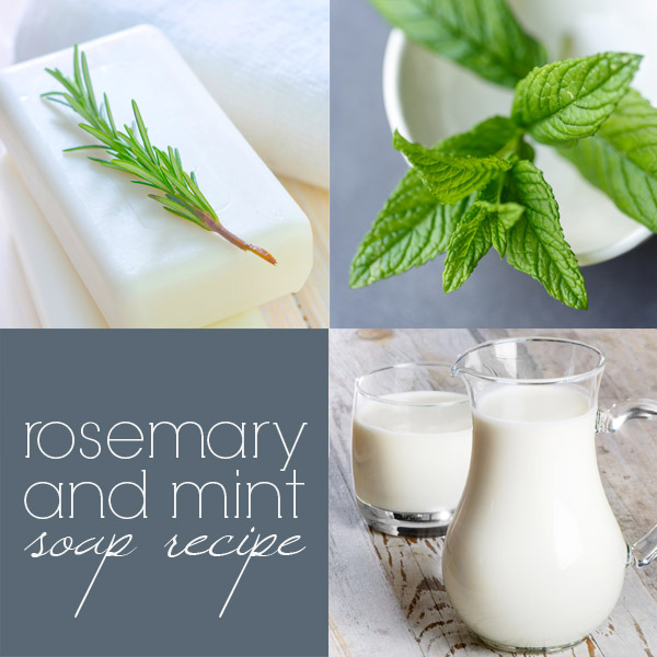 Rosemary & Goat Milk Soap Recipe: how to make goat milk cold process soap
